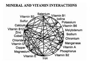 Trace Minerals in Mane Hair Versus Blood - EquiManagement